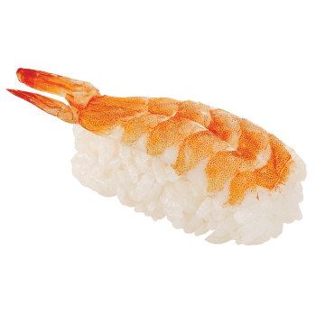 Nigiri Ebi